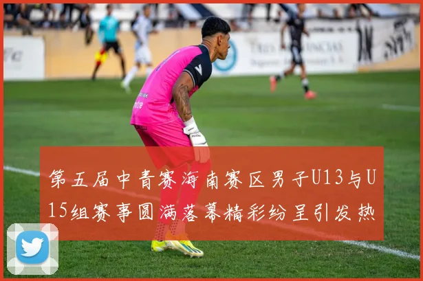 第五届中青赛海南赛区男子U13与U15组赛事圆满落幕精彩纷呈引发热烈反响